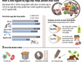 [Infographic] Hơn 5.000 người bị ngộ độc thực phẩm mỗi năm