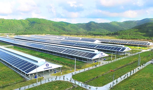 Hệ thống năng lượng mặt trời đã được lắp đạt tại các trang trại của Vinamilk