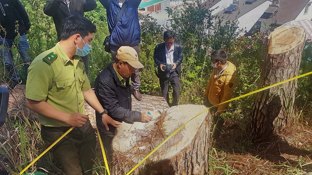 Lực lượng chức năng tiến hành lập biên bản một vụ phá rừng tại Lâm Đồng