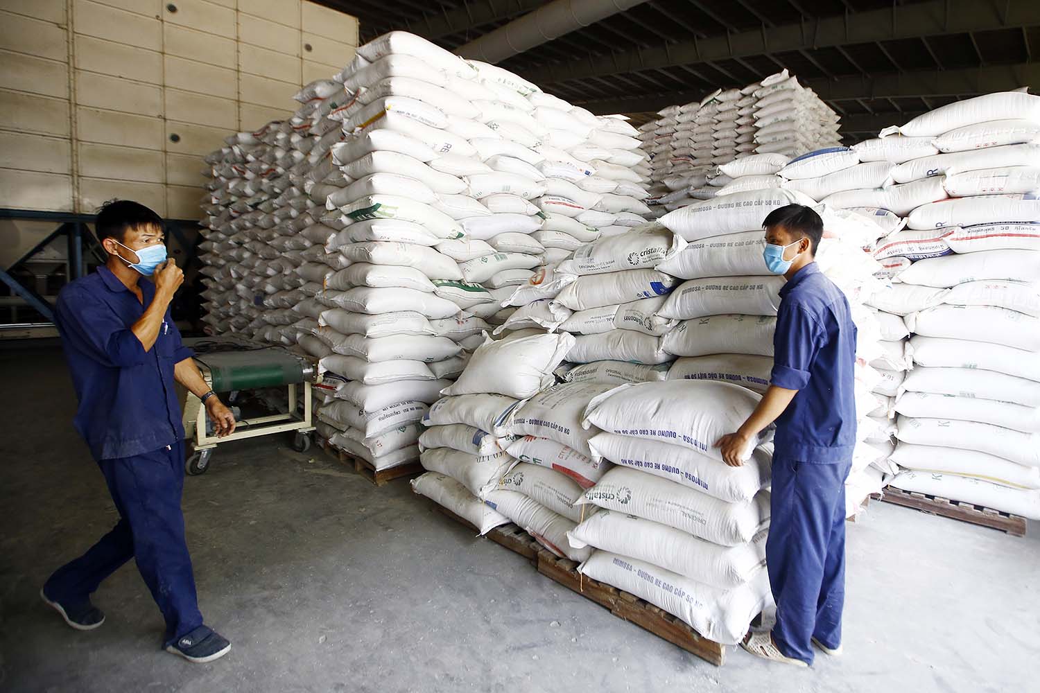Việt Nam xuất khẩu hơn 30.000 tấn gạo sang thị trường EU trong 4 tháng đầu năm	Ảnh: Đức Thanh