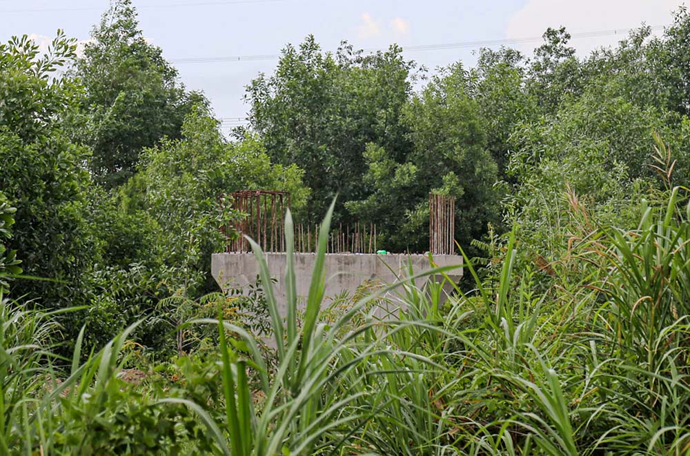 Quá hạn 5 năm, cỏ, cây dại đã mọc kín trụ cầu kết nối của Dự án Đầu tư xây dựng đoạn tuyến nối từ đường Võ Văn Kiệt đến đường cao tốc TP.HCM - Trung Lương 