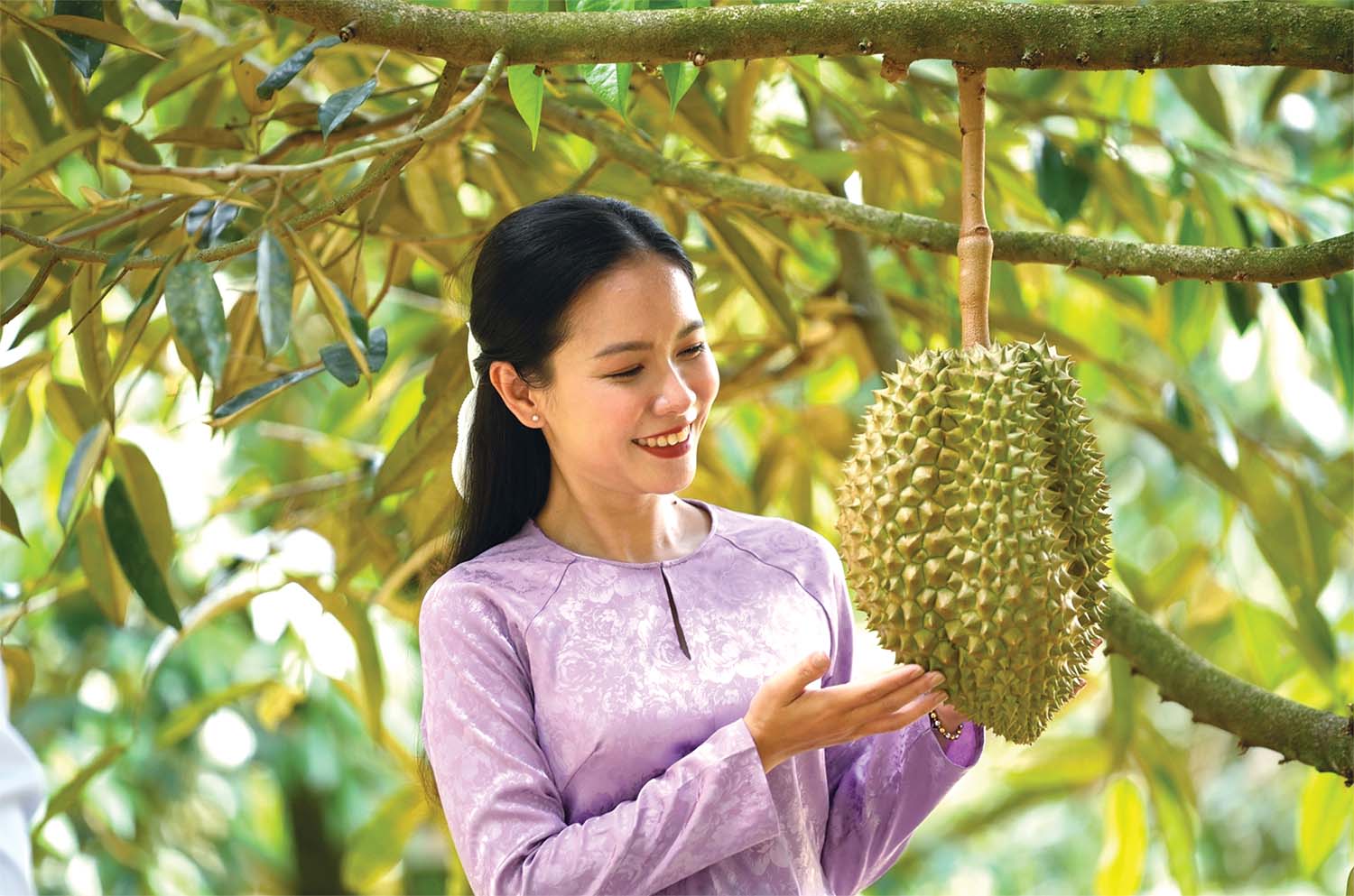 Sầu riêng là một trong những loại trái cây xuất khẩu có giá trị cao của Việt Nam	Ảnh: Khương Hồng Thủy
