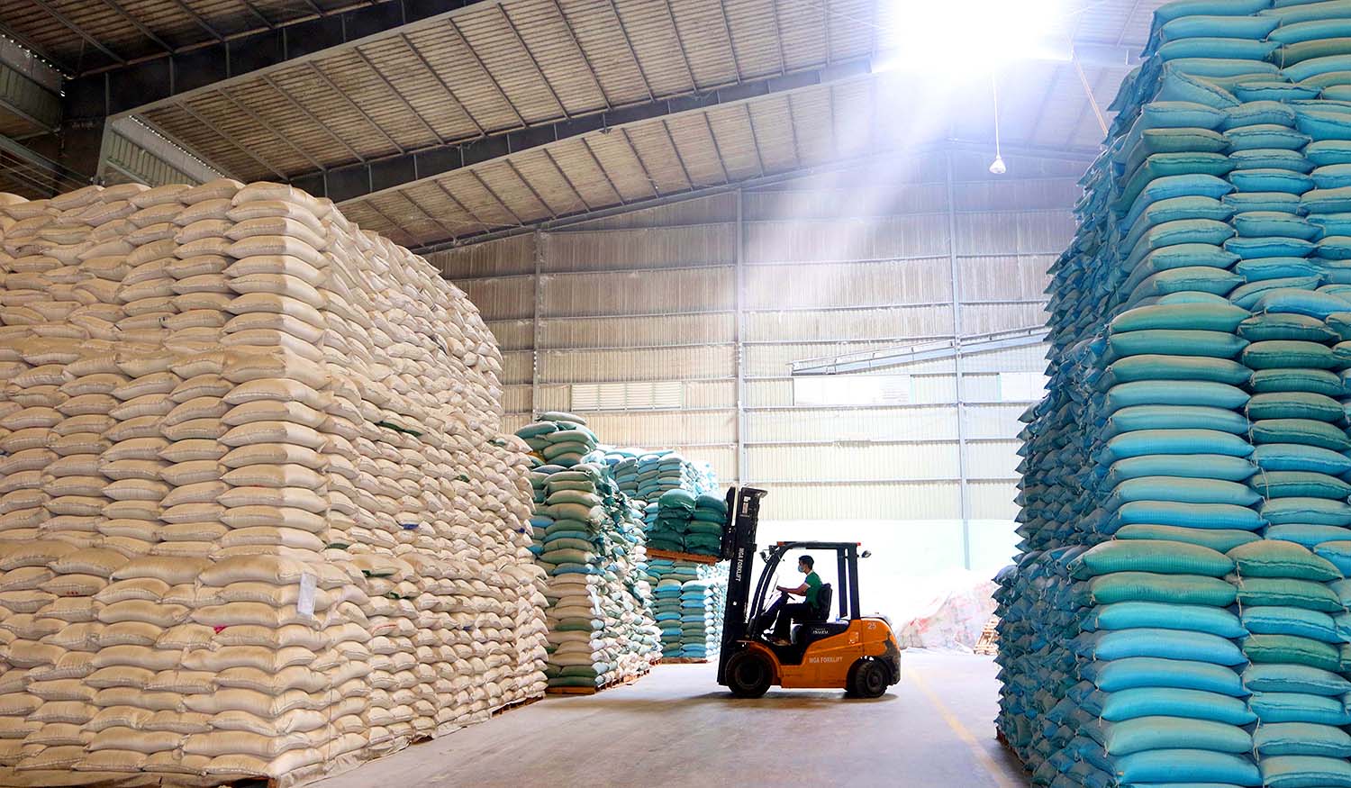 Gạo đang có cơ hội xuất khẩu lớn khi thị trường mở rộng và giá tăng	Ảnh: Dũng Minh