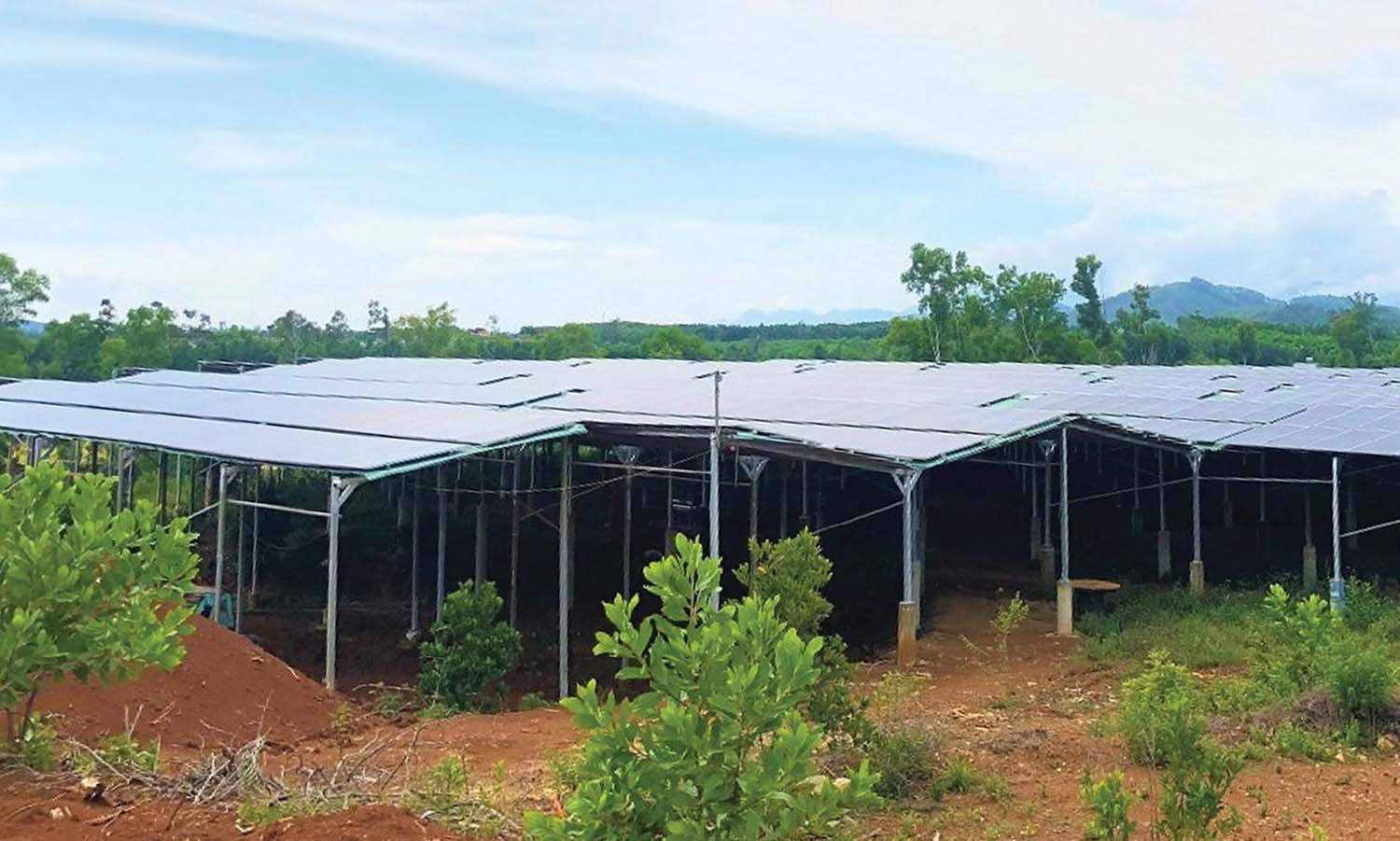 Hệ thống điện mặt trời “mọc” lên trên khu đất mà HTX Nông nghiệp Mỹ Tân An được tỉnh Quảng Nam giao để thực hiện đầu tư xây dựng trang trại sản xuất nông, lâm nghiệp