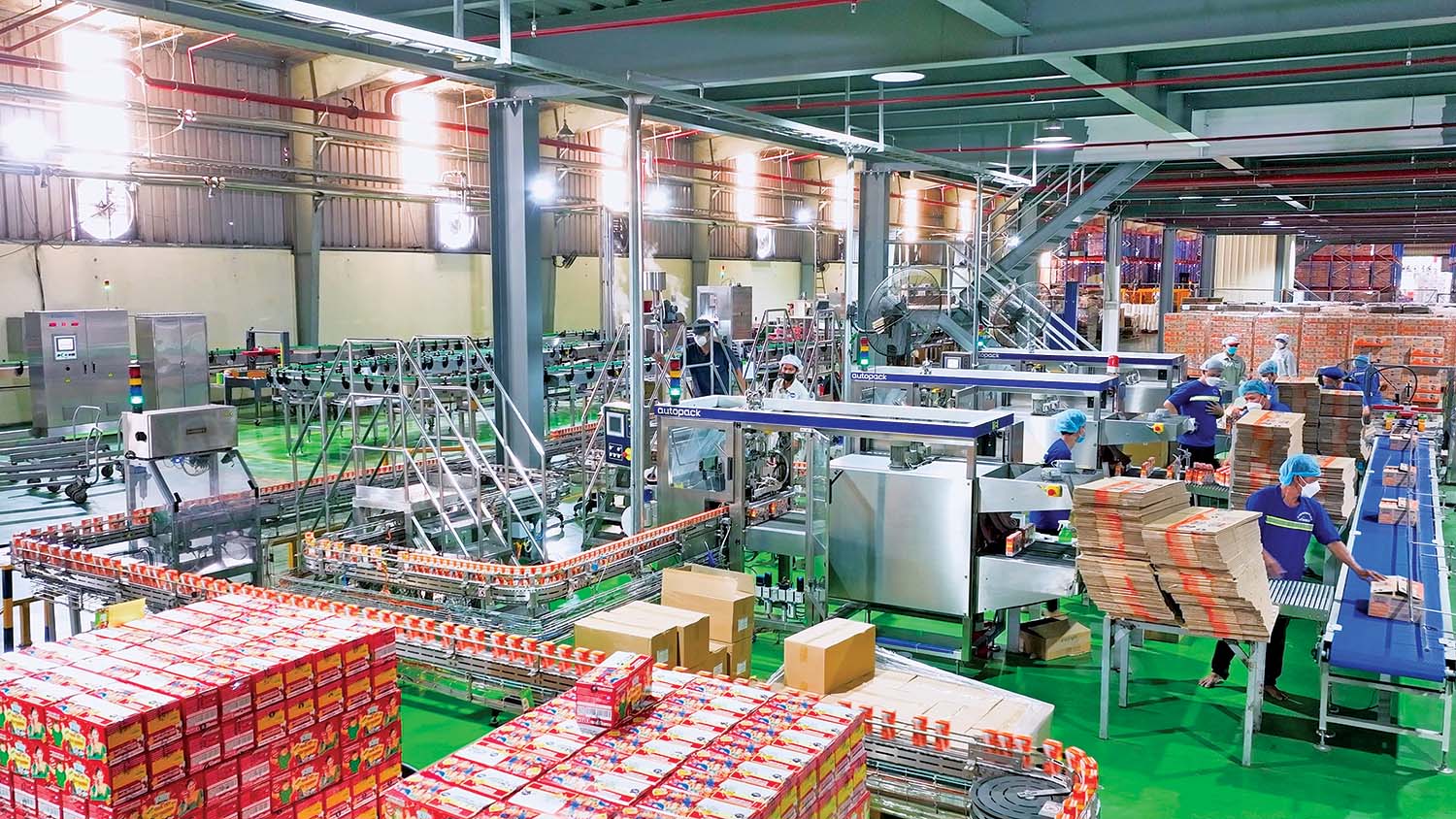 Dây chuyền sản xuất hiện đại trong nhà máy của IDP