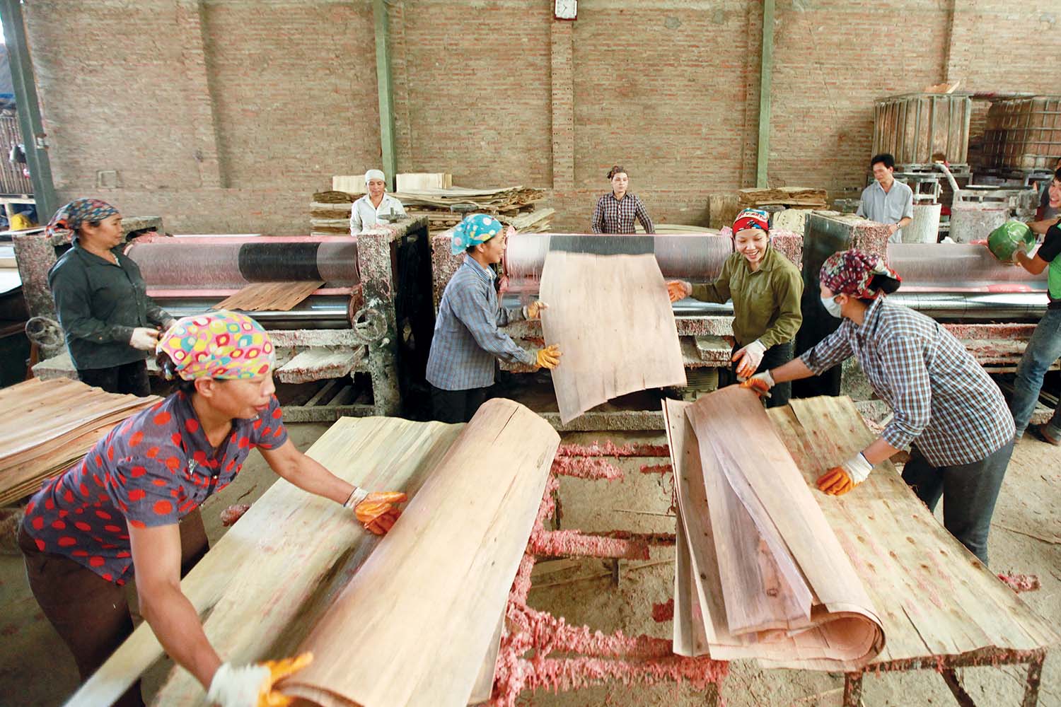 rTỷ lệ lao động trong các ngành dệt may, da giày, gỗ và lâm sản mất việc khá cao 	Ảnh: Đức Thanh