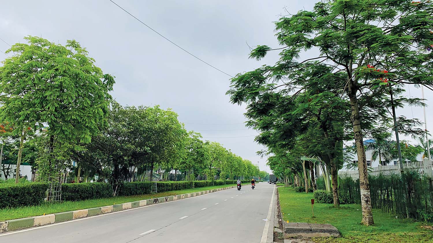 Con đường rợp bóng cây xanh trong KCN Nam Cầu Kiền