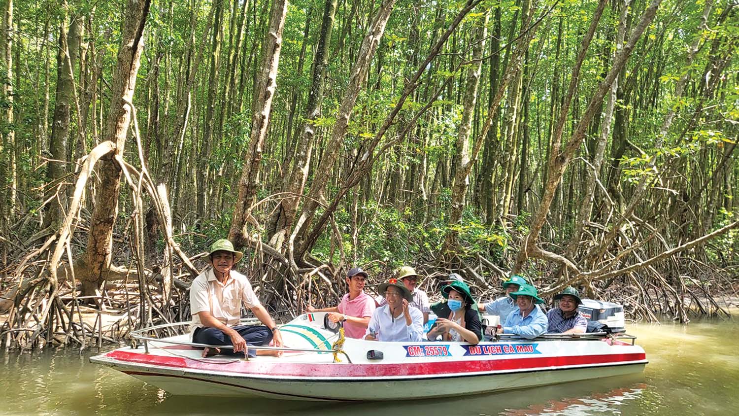 Du lịch Xuyên rừng Cà Mau bằng ca nô được du khách ưa thích