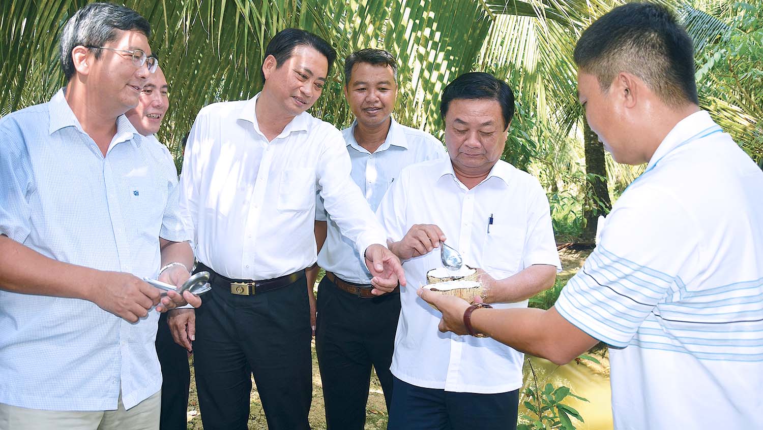 Bộ trưởng Bộ Nông nghiệp và Phát triển nông thôn Lê Minh Hoan và lãnh đạo tỉnh Trà Vinh khảo sát mô hình trồng dừa sáp nuôi cấy phôi cho hiệu quả kinh tế cao tại huyện Tiểu Cần (Trà Vinh)