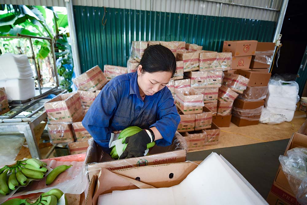 Ngày càng nhiều doanh nghiệp Việt Nam vươn ra “biển lớn”, tham gia các chuỗi cung ứng toàn cầu 
