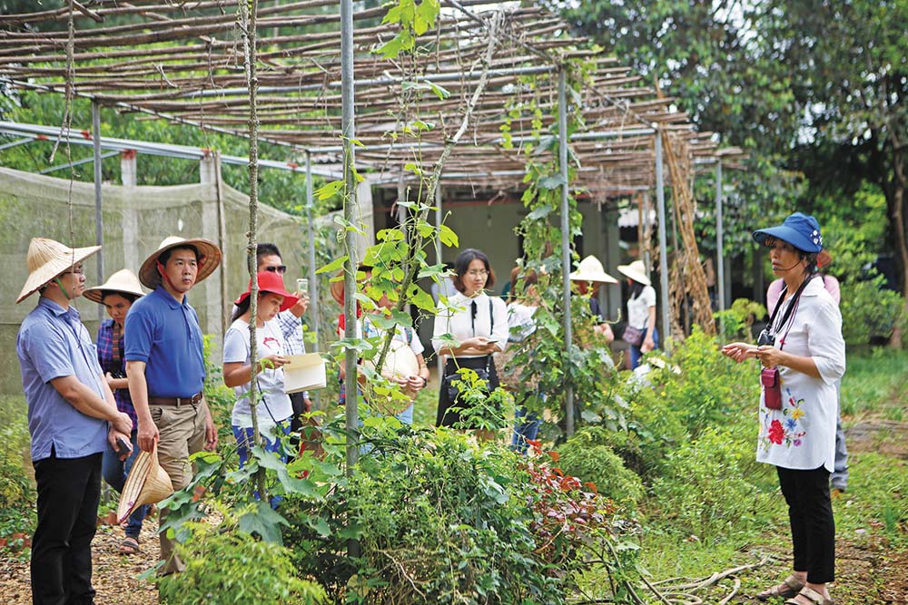 Du khách tham quan trang trại Đồng quê tại huyện Ba Vì (Hà Nội)	ảnh: hạnh phúc