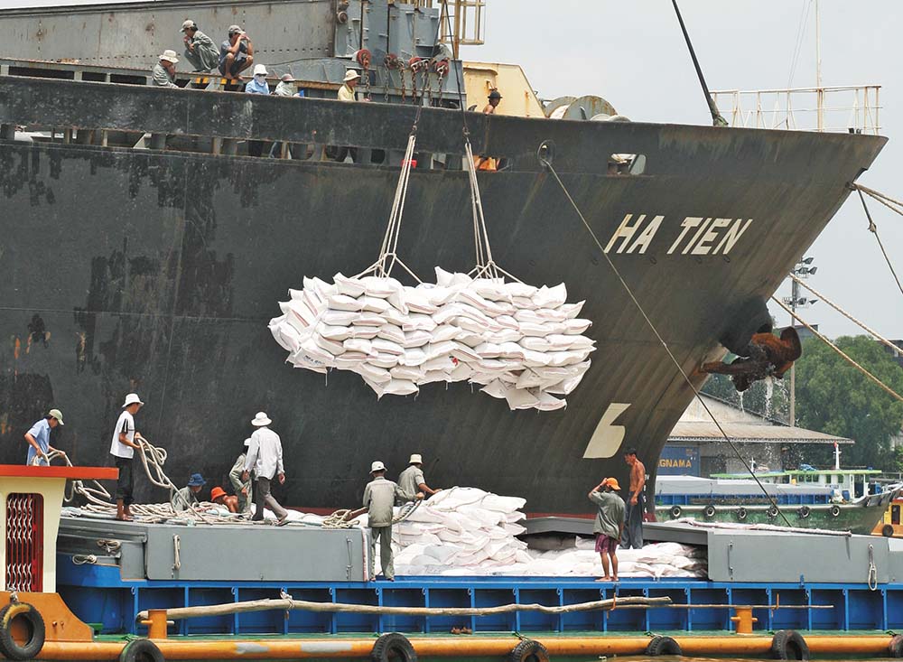 Xuất khẩu gạo đạt kỷ lục trong năm 2023, nhưng lợi nhuận các doanh nghiệp ngành này không như kỳ vọng 	Ảnh: Lê Toàn