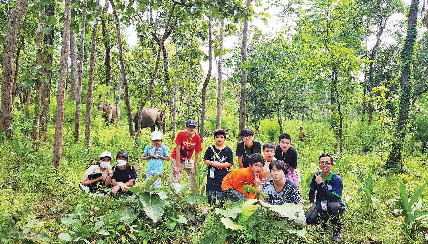Du lịch sinh thái rừng thu hút nhiều lứa tuổi	ảnh: nature expedition