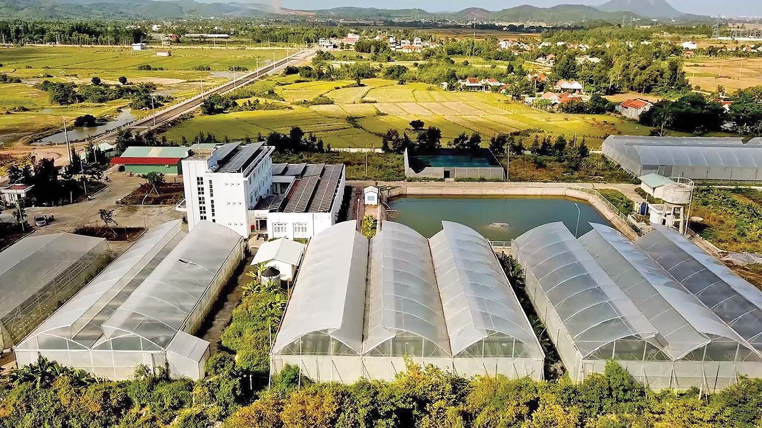 Nông nghiệp công nghệ cao sẽ trở thành trụ cột của kinh tế Phú Yên