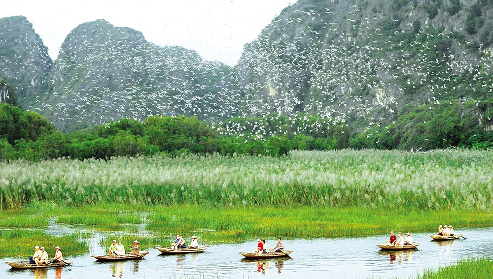 Khu bảo tồn thiên nhiên đất ngập nước Vân Long là khu ramsar thứ 9 và sở hữu 2 kỷ lục của Việt Nam