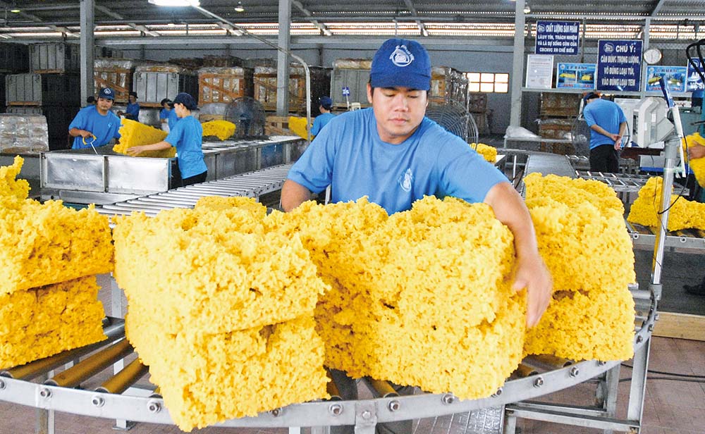 Cơ hội cho thị trường Việt Nam đang nằm ở một số ngành hàng, trong đó có sản phẩm cao su và nhựa	Atnh: Lê Toàn