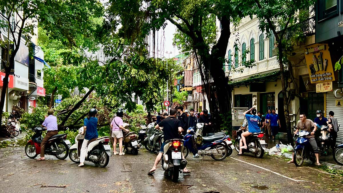 Cơn bão Yagi tràn qua Hà Nội đã để lại hậu quả nặng nề với hàng loạt cây xanh bị đổ rạp trên các tuyến phố chính, gây ách tắc giao thông nghiêm trọng. Trong bức ảnh, ta thấy rõ cảnh tượng một con đường bị cây xanh chắn ngang, cản trở lối đi của nhiều phương tiện giao thông cùng người dân đang cố gắng tìm cách di chuyển. Các lực lượng chức năng, từ công nhân cây xanh đến cảnh sát giao thông, đã khẩn trương vào cuộc, không quản ngại mưa bão để dọn dẹp hiện trường, giải phóng đường phố và khôi phục giao thông. Phóng sự ảnh dưới đây được phóng viên báo Đầu tư ghi lại những khoảnh khắc chân thực về sức tàn phá của thiên nhiên và nỗ lực bền bỉ của con người trước khó khăn.