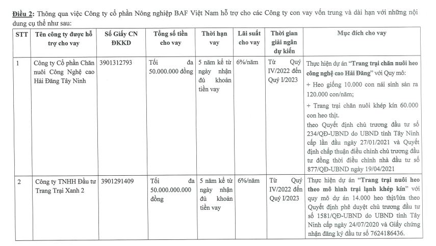 Nông nghiệp BaF Việt Nam cho 2 công ty con vay vốn (Nguồn: BAF).
