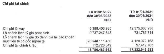 Cơ cấu chi phí tài chính của DRI trong 6 tháng đầu năm 2022 (Nguồn: DRI).