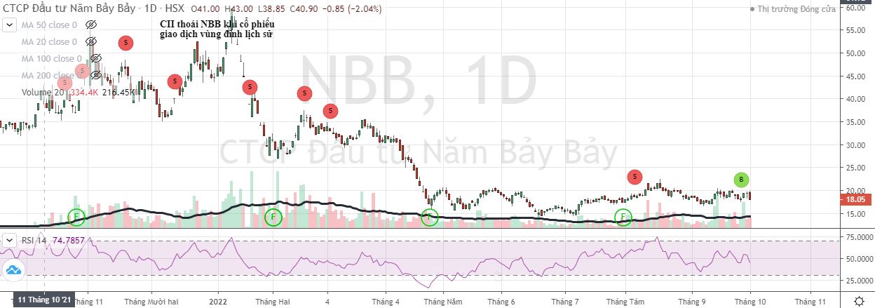 Cổ phiếu NBB bị bán mạnh từ đầu năm tới nay (Nguồn: FireAnt).