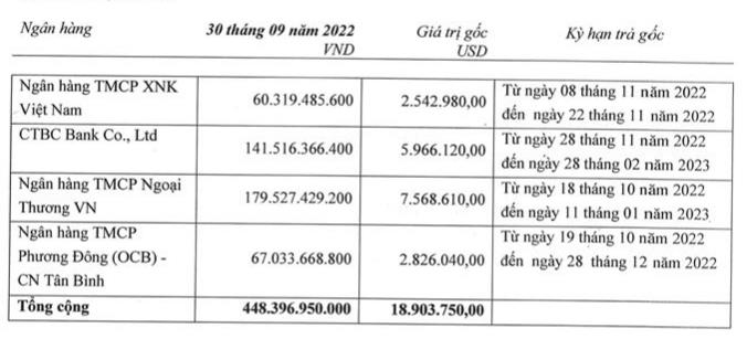 Sợi Thế Kỷ có dư nợ vay bằng đồng USD tính tới 30/9/2022 (Nguồn: BCTC).