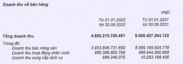 Cơ cấu doanh thu của BAF trong 9 tháng đầu năm 2022 (Nguồn: BCTC).
