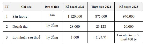 Kế hoạch kinh doanh năm 2023 của Thép Nam Kim (Nguồn: Thép Nam Kim).