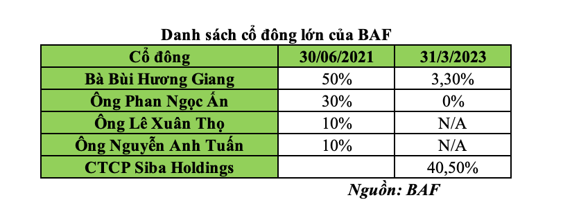 Danh sách cổ đông lớn BAF Việt Nam thời điểm 31/3/2023 (Nguồn: BAF)