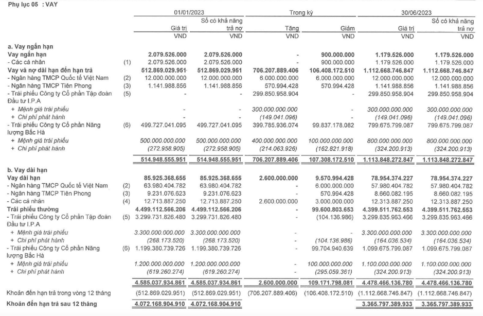 Cơ cấu dư nợ vay của IPA tại thời điểm 30/6/2023 (Nguồn: BCTC)