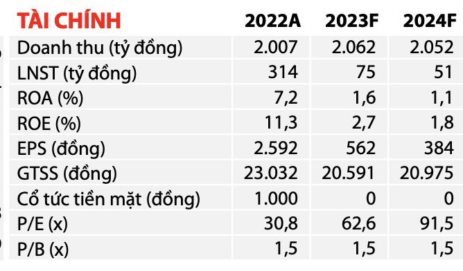 VDSC dự báo lợi nhuận Container Việt Nam đi lùi trong năm 2023 và năm 2024 (Nguồn: VDSC)