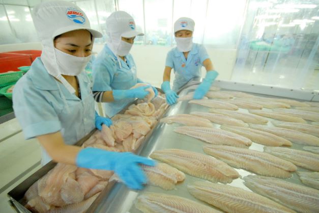 Canada đã trở thành thị trường nhập khẩu nhiều cá tra Việt Nam trong khối CPTPP.