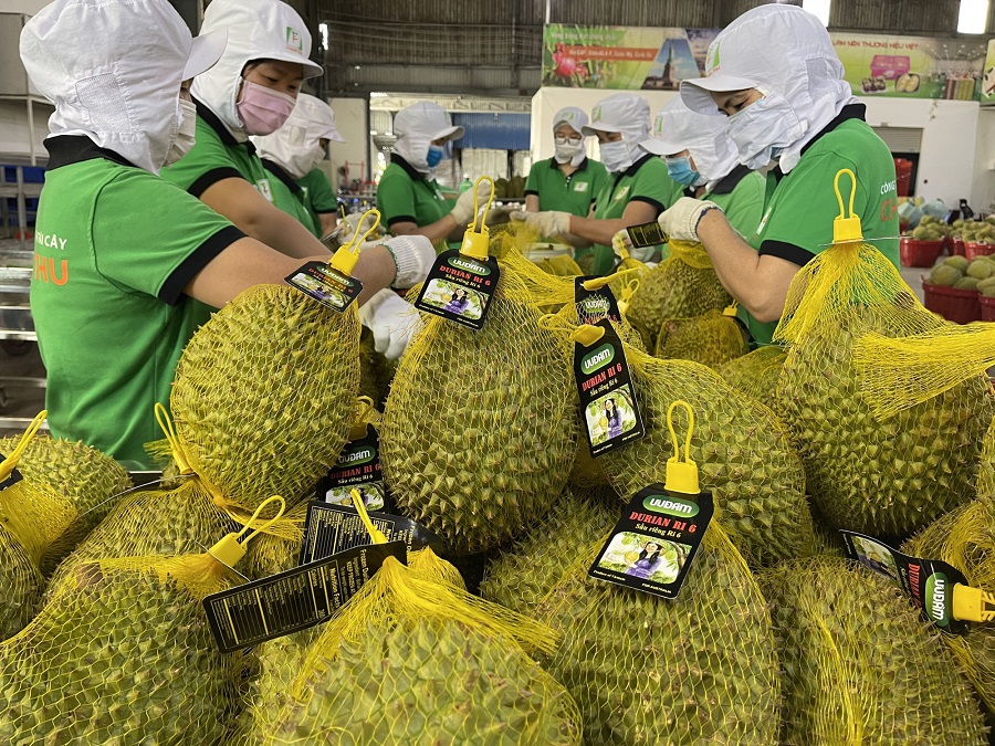 Đến nay, Trung Quốc đã cấp phép nhập khẩu chính ngạch với 11 loại trái cây từ Việt Nam.