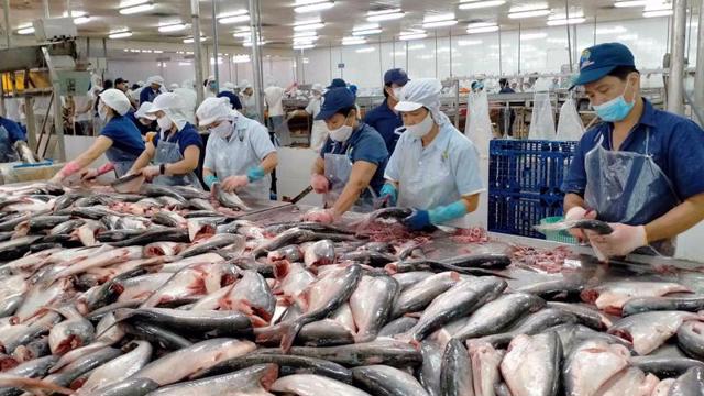 Trong kết luận cuối cùng đợt rà soát hành chính, Hoa Kỳ giữ nguyên mức thuế chống bán phá giá cá tra, basa nhập khẩu từ Việt Nam.