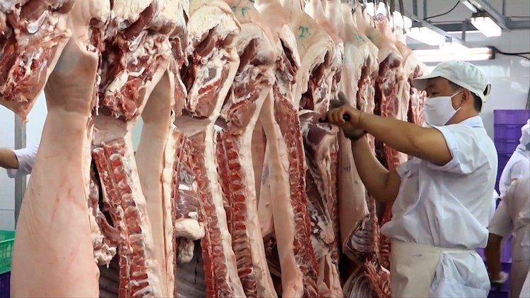 Bộ Nông nghiệp và Phát triển nông thôn chủ trì, phối hợp với các cơ quan liên quan nghiên cứu phản ánh liên quan đến vấn đề xuất khẩu thịt lợn