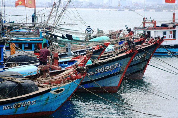 Nhật Bản chính thức kiểm soát IUU với thủy sản Việt Nam.