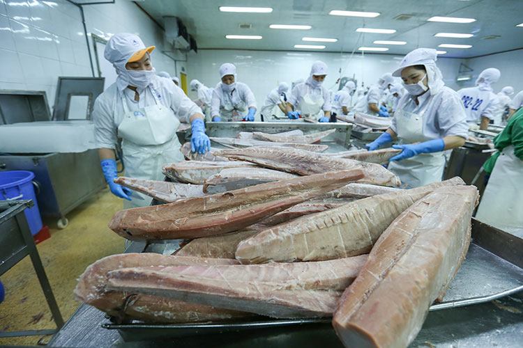 Kết thúc năm 2022, Lần đầu tiên cá ngừ trở thành ngành hàng giá trị tỷ USD.