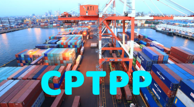 biểu thuế xuất khẩu ưu đãi thực hiện Hiệp định CPTPP, biểu thuế xuất khẩu ưu đãi gồm 609 dòng thuế;