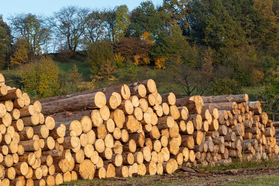 EU về kiểm soát một số mặt hàng nông lâm sản xuất khẩu vào EU liên quan đến phá rừng và suy thoái rừng .