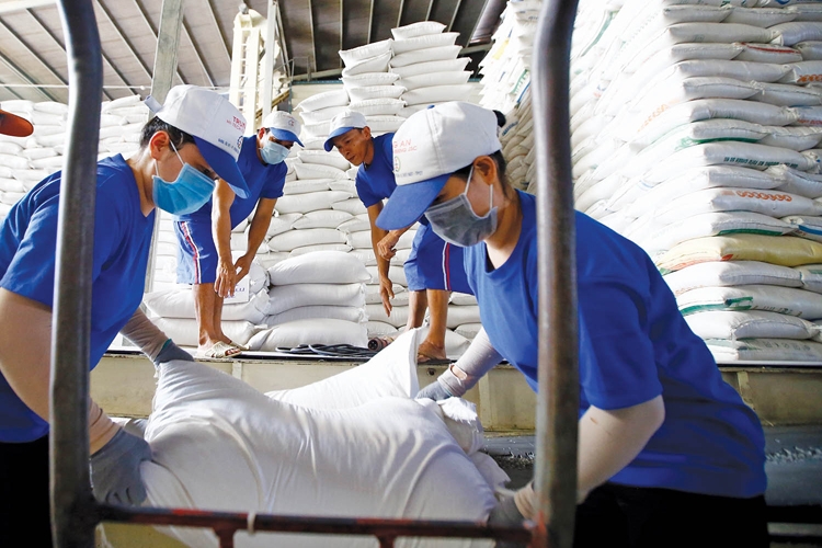 Ngành sản xuất lúa gạo Phấn đấu tỷ lệ gạo xuất khẩu có thương hiệu trên 40%.