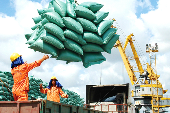 Xuất khẩu gạo cả năm 2023 dư sức vượt 7 triệu tấn nhờ nhu cầu nhập khẩu gạo của nhiều thị trường gia tăng.