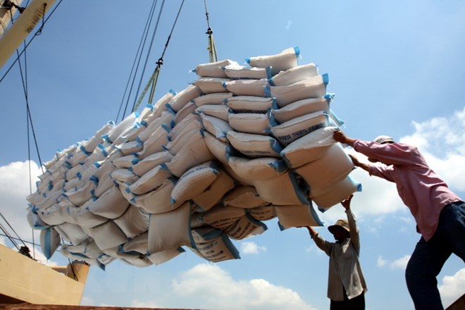 Ngành gạo có thể xuất khẩu 8 triệu tấn trong năm 2023.