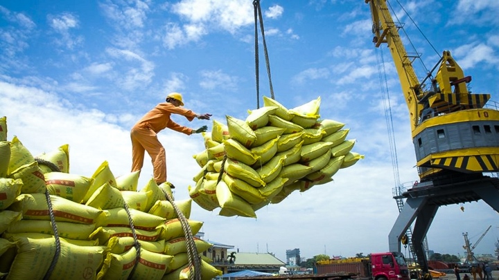 Theo Cục Xuất nhập khẩu, Việc Ấn Độ ban hành chính sách hạn chế hoạt động xuất khẩu gạo sẽ tác động đến thị trường thương mại gạo toàn cầu.