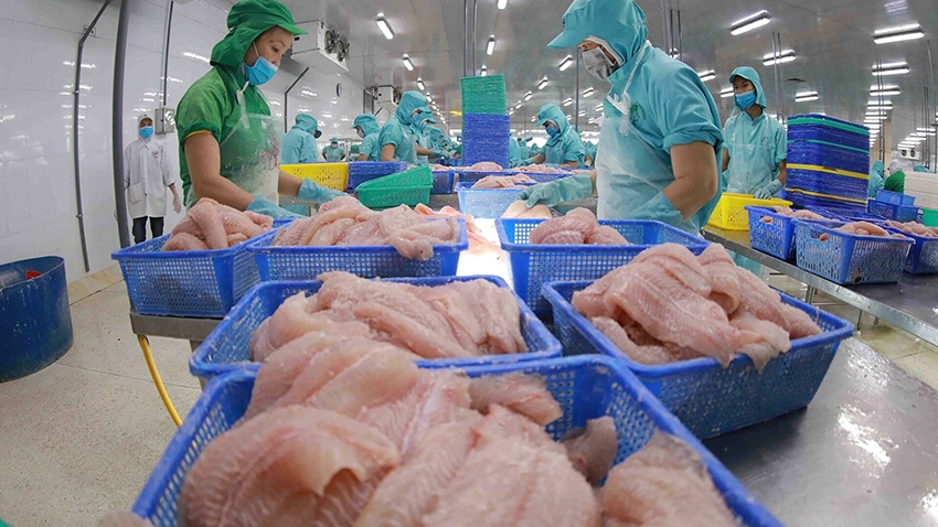 UAE là thị trường xuất khẩu lớn nhất của Việt Nam tại khu vực Trung Đông, cán cân thương mại luôn ở thế xuất siêu.