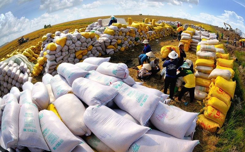 giá gạo 5% tấm xuất khẩu của Việt Nam đạt 643 USD/tấn, tăng 20,6% so với ngày 19/7