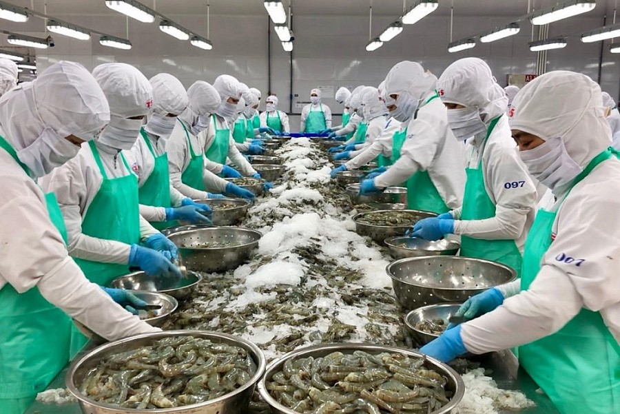 Thủy sản là nhóm hàng xuất khẩu sang Nhật trị giá hơn 1,3 tỷ USD sau 11 tháng.