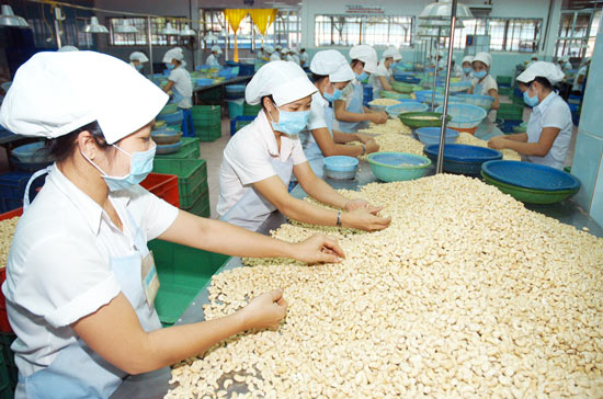 doanh nghiệp xuất khẩu hạt tiêu, điều của Việt Nam lưu ý khi giao dịch với đối tác Tây Ban Nha.
