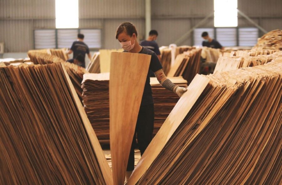 Một số sản phẩm gỗ xuất khẩu sang Mỹ có nguy cơ bị điều tra, áp dụng biện pháp PVTM khá cao.