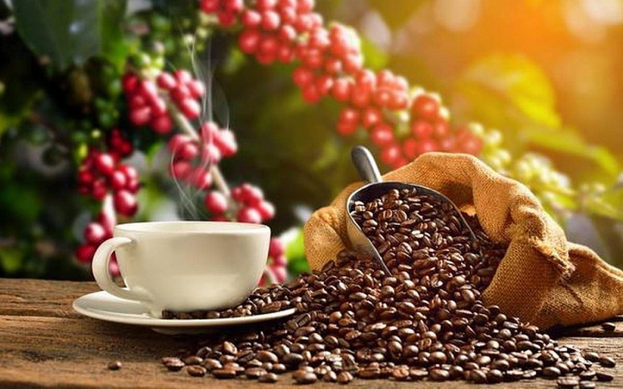 EU chi  1,66 tỷ USD nhập khẩu  652 nghìn tấn cà phê từ các nhà cung ứng Việt Nam trong năm 2023.