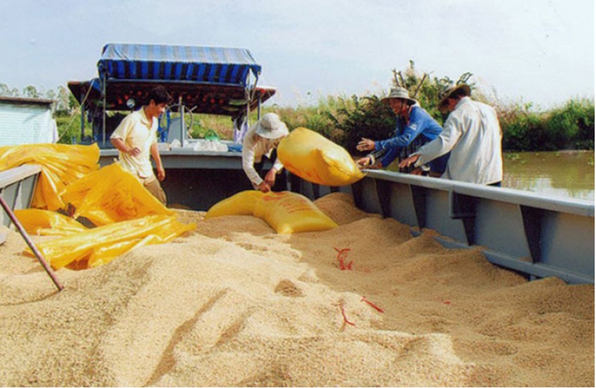 Việt Nam trở thành đối tác xuất khẩu gạo lớn nhất vào thị trường Singapore
