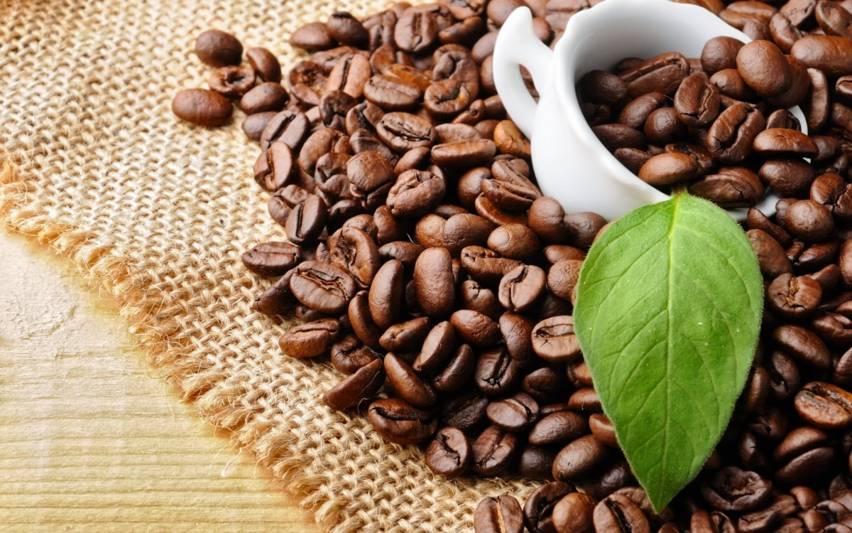 Giá cà phê xuất khẩu 5 tháng đầu năm đã tăng gần 50% so với cùng kỳ, đạt 3.482 USD/tấn.
